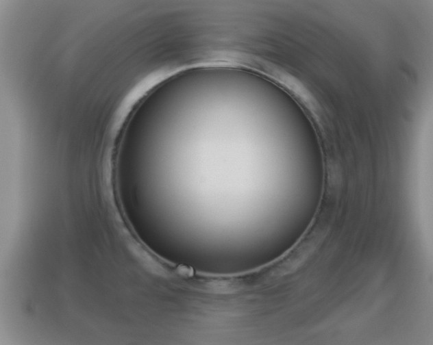 X0000114021480200910091403