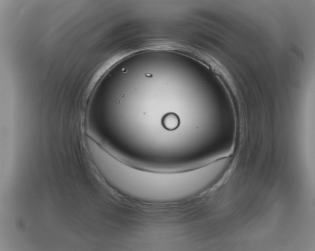 X0000114021481200910091403