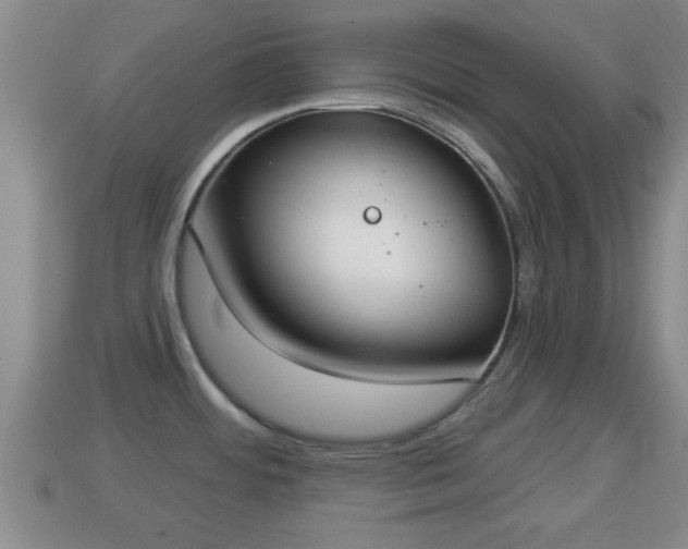 X0000114021484200910091403