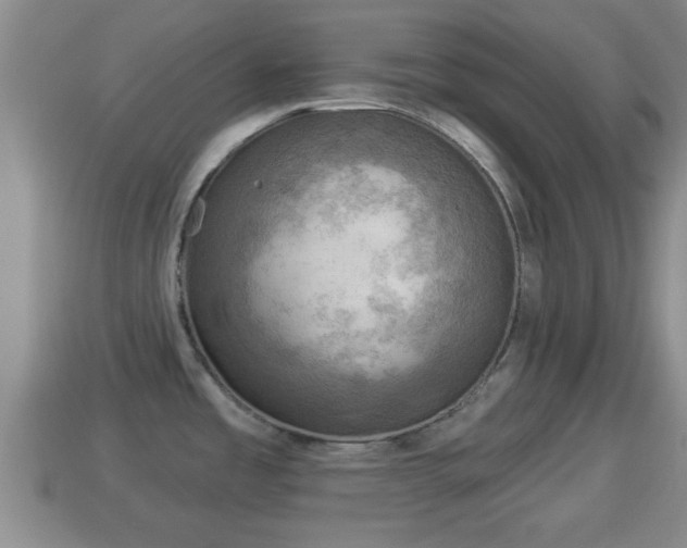 X0000114021485200910091403