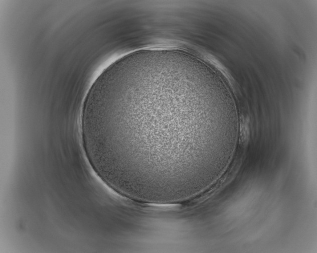 X0000114021487200910091403