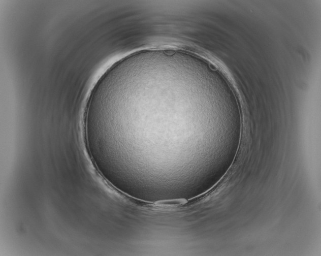 X0000114021488200910091403