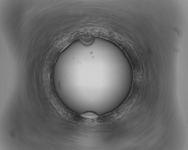X0000114021489200910091402