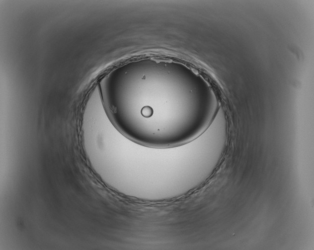 X0000114021496200910091402