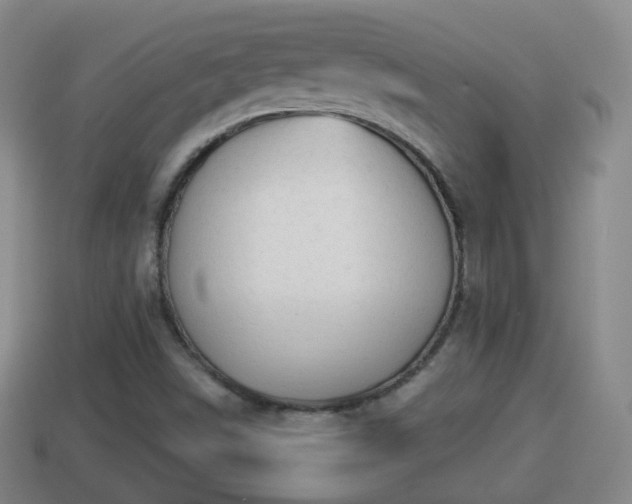 X0000114021498200910091402