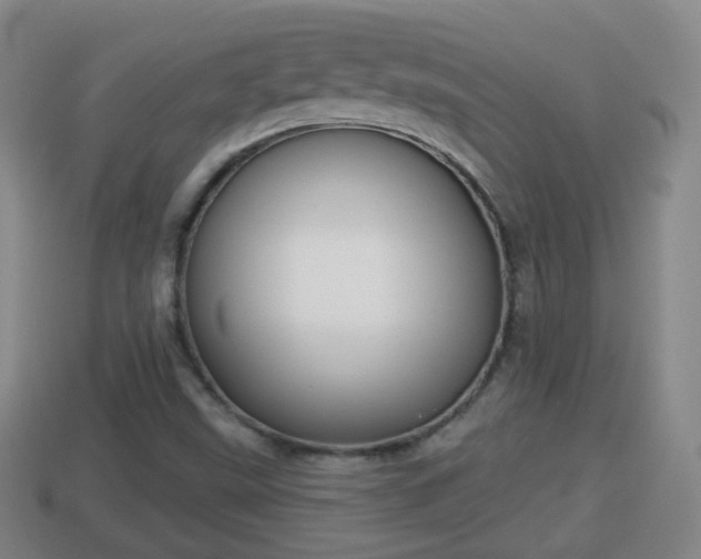 X0000114021499200910091402