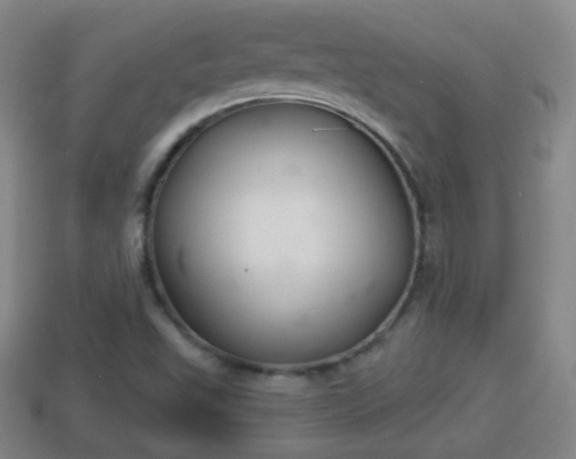 X0000114021503200910091402