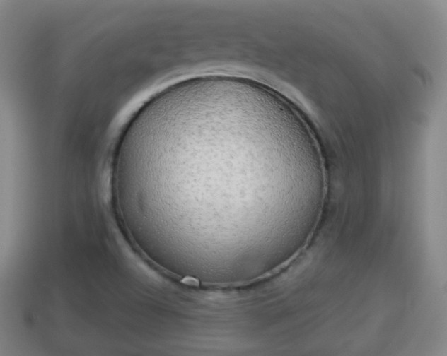 X0000114021504200910091402