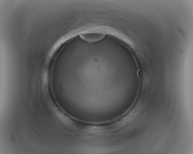 X0000114021506200910091402