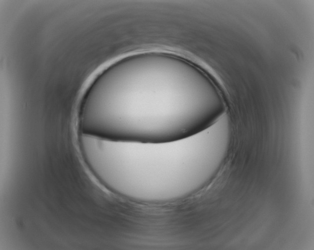 X0000114021508200910091402