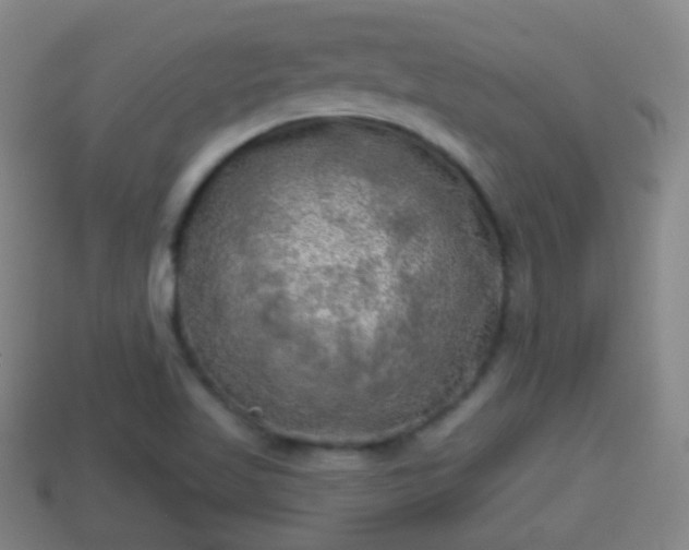 X0000114021509200910091402