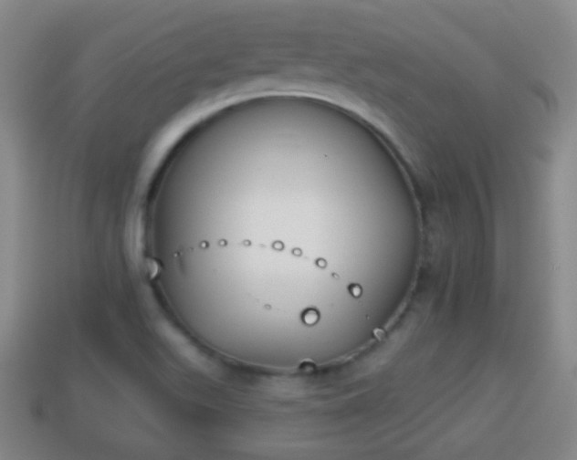 X0000114021511200910091402