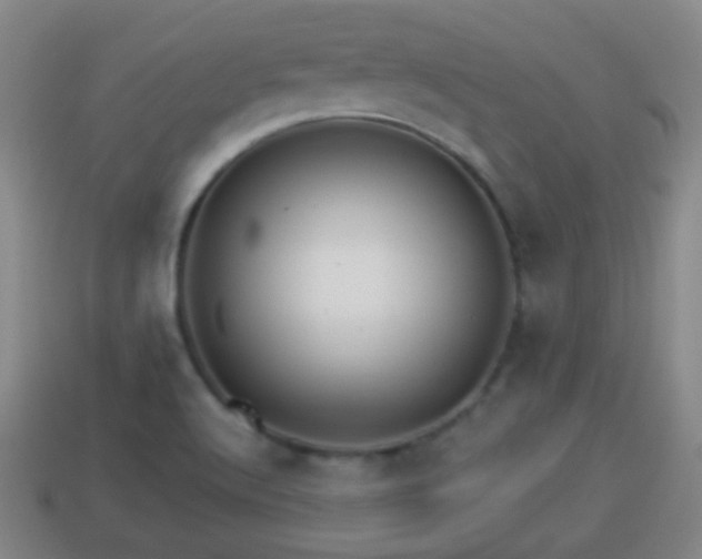 X0000114021512200910091402