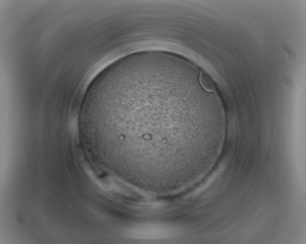 X0000114021513200910091402