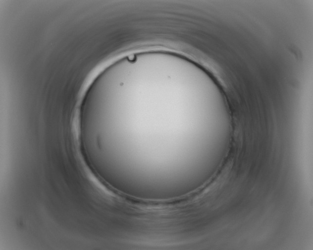 X0000114021516200910091402