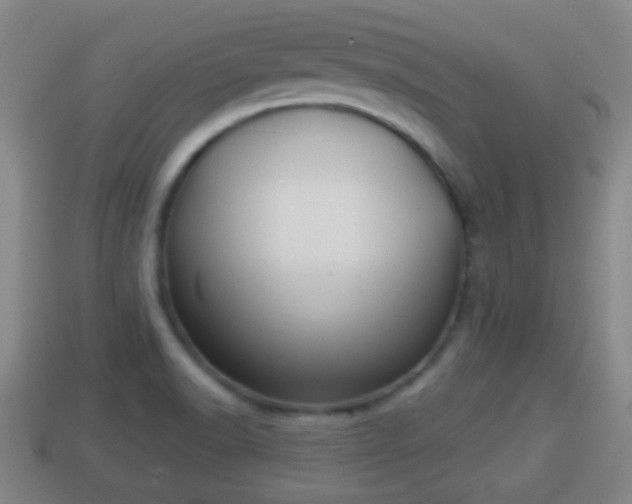 X0000114021518200910091402