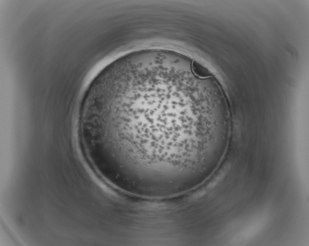 X0000114021525200910091403