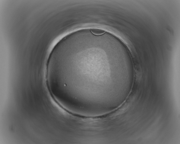 X0000114021527200910091403