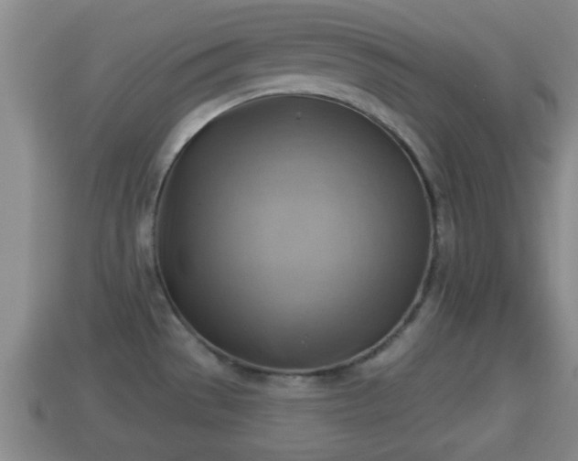 X0000114021529200910091403