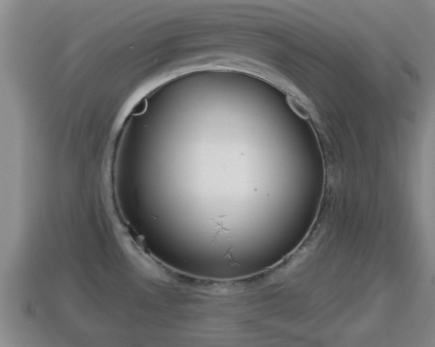 X0000114021530200910091403