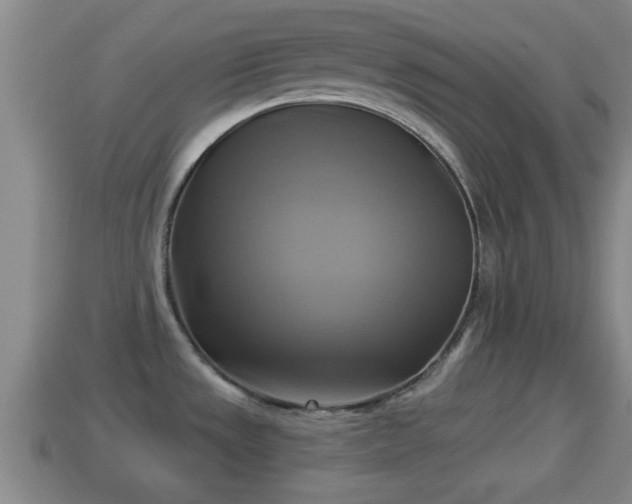 X0000114021533200910091403