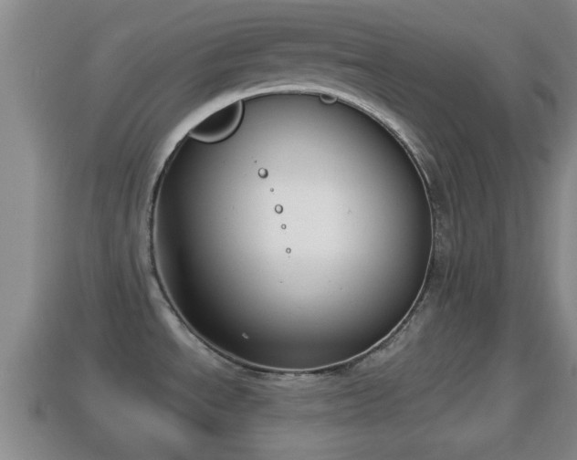 X0000114021534200910091403
