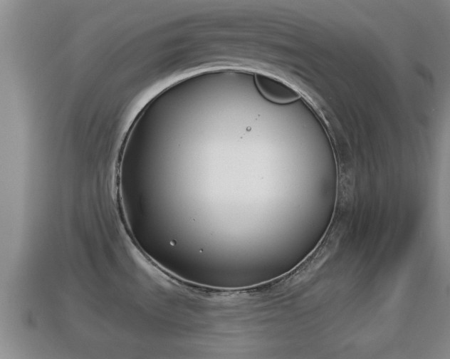 X0000114021535200910091403