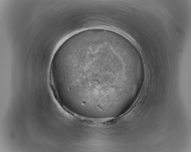 X0000114021536200910091403