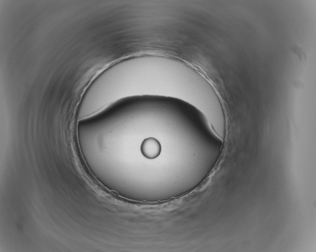 X0000114020001200910161807