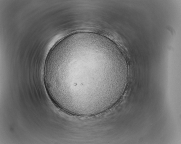 X0000114020003200910161807