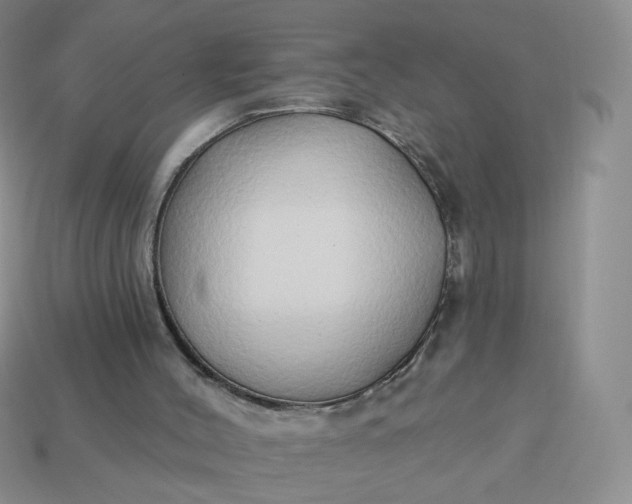 X0000114020004200910161807