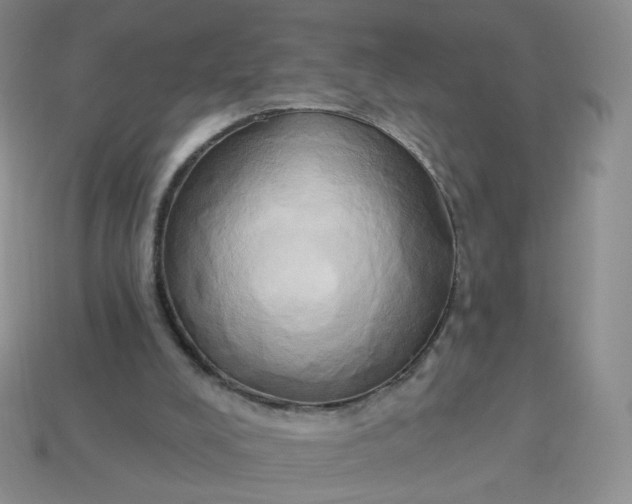 X0000114020008200910161807