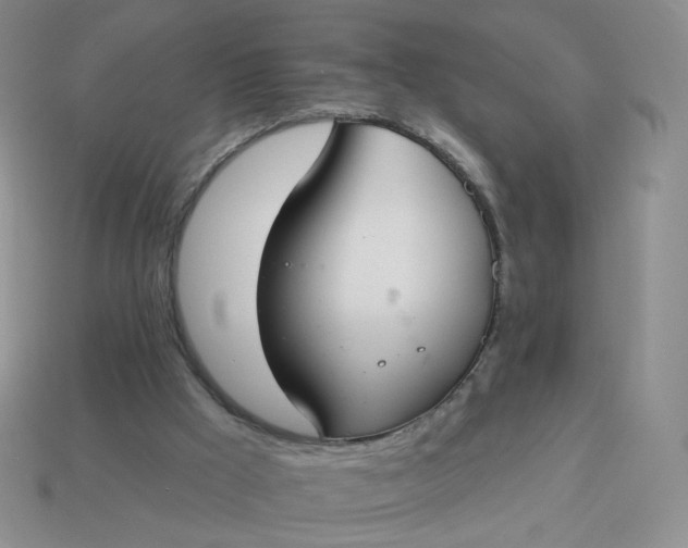 X0000114020009200910161807