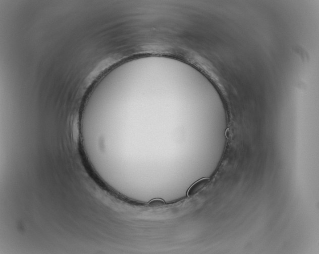 X0000114020011200910161807