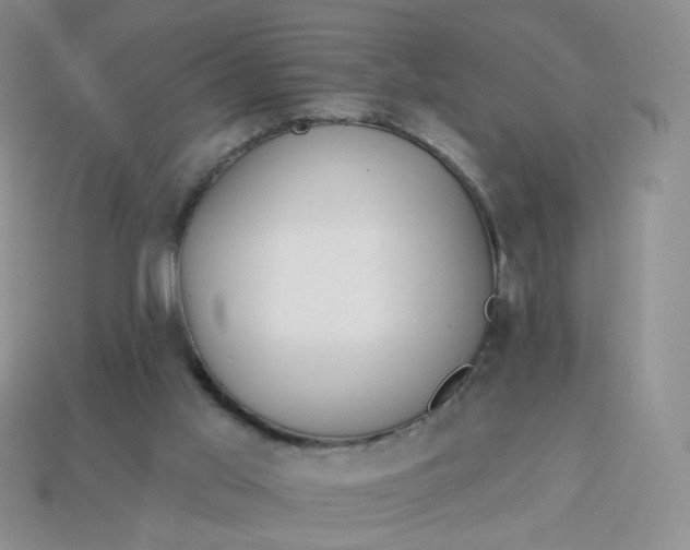 X0000114020013200910161807