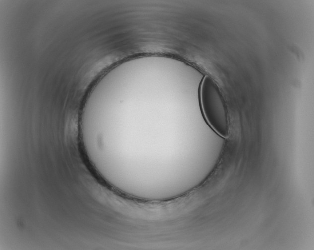 X0000114020015200910161807