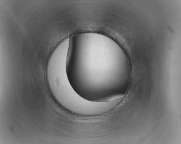 X0000114020017200910161807