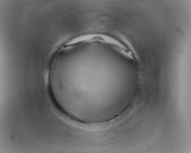 X0000114020019200910161807