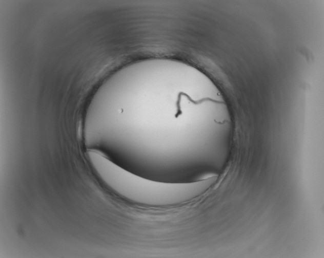 X0000114020021200910161807