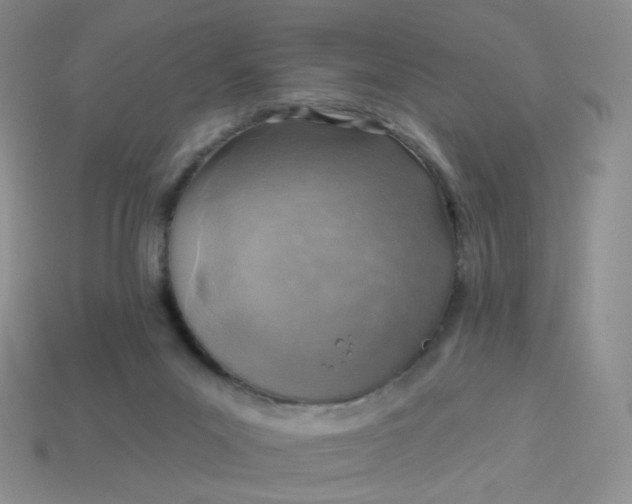 X0000114020023200910161807