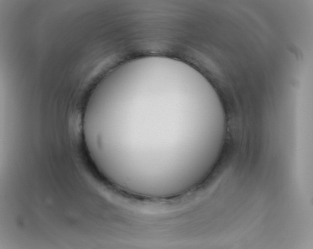 X0000114020024200910161807