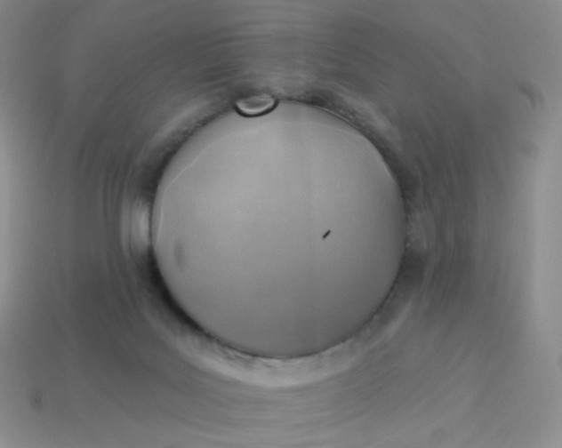 X0000114020027200910161807