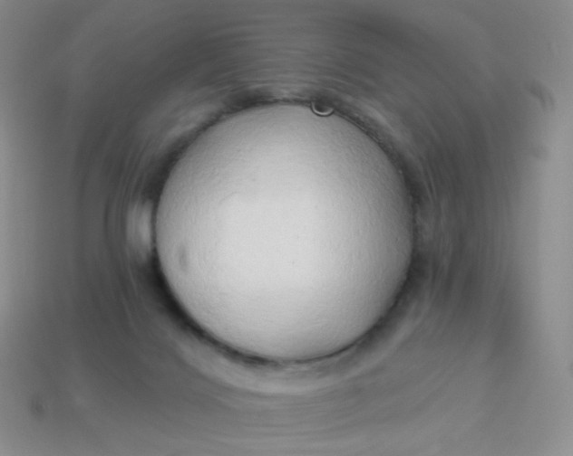 X0000114020028200910161807