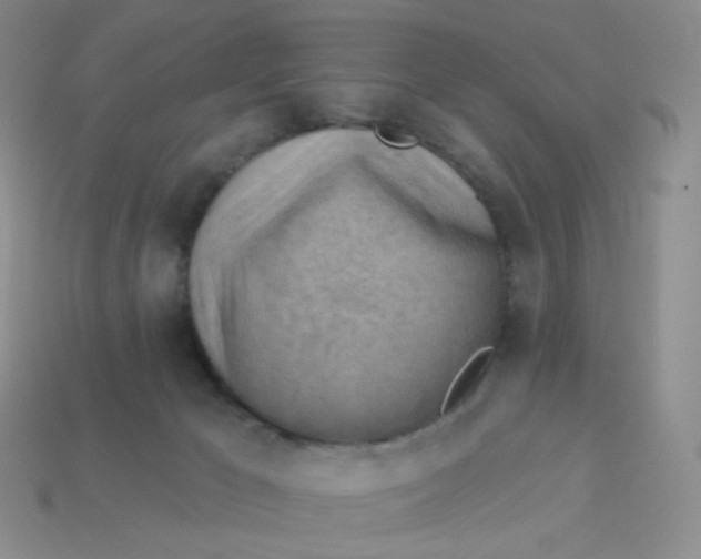 X0000114020029200910161807