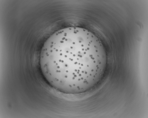 X0000114020030200910161807