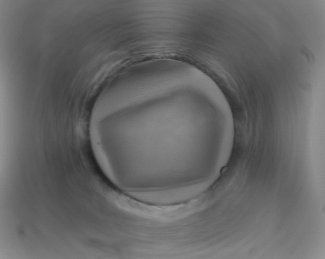 X0000114020035200910161807