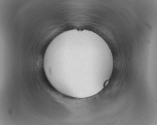 X0000114020036200910161807