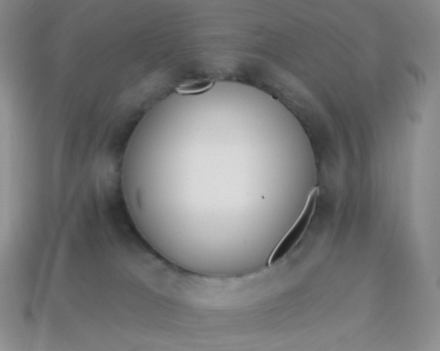 X0000114020037200910161807