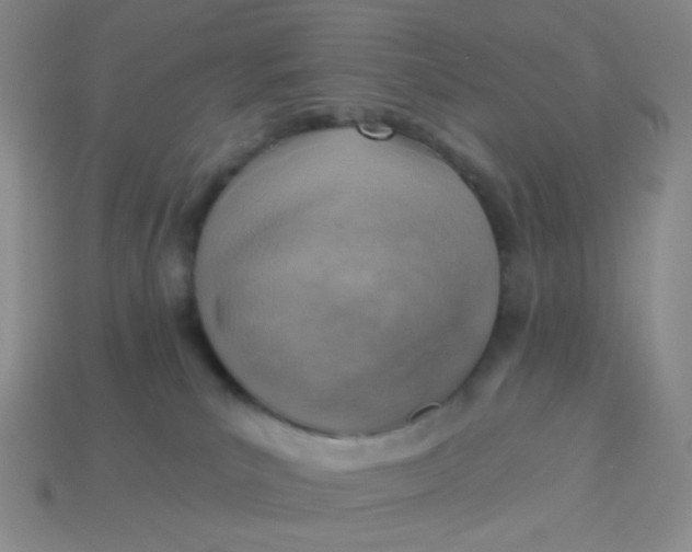 X0000114020039200910161807