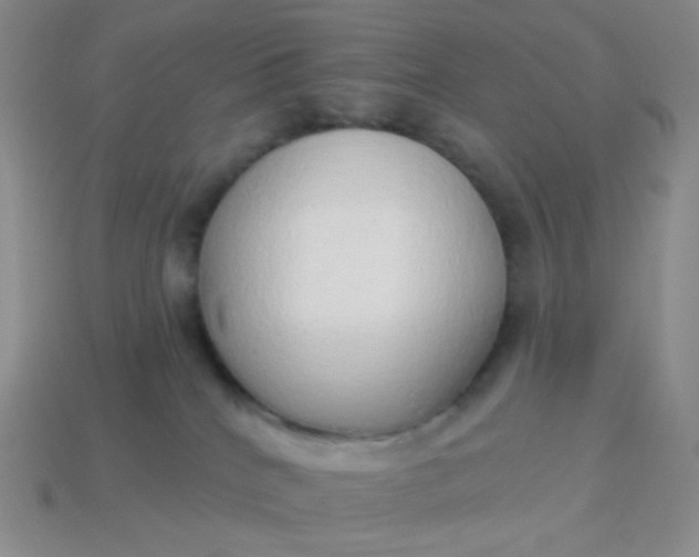 X0000114020040200910161807